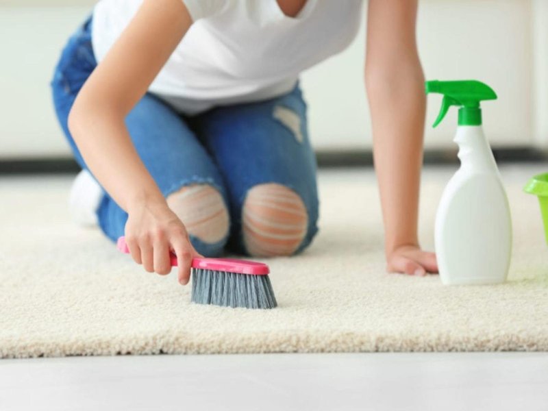 Woman cleaning carpet in a bright room